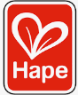 Hape Educational Resources & Toys