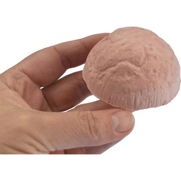 8 in 1 Mystery Space Dig Site