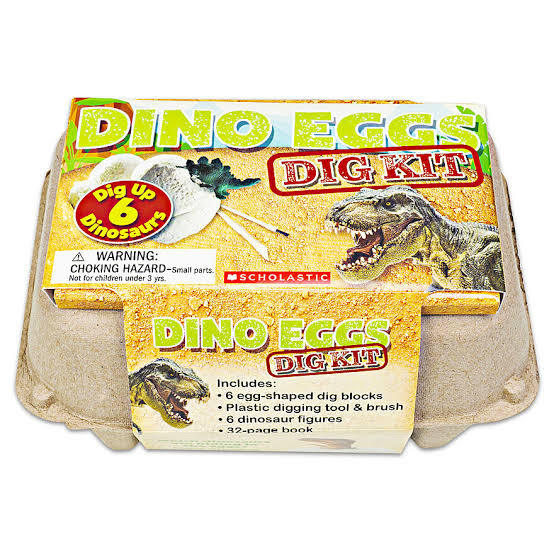 Dino Egg Carton Science Activity Kit