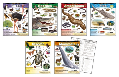 Animal Diversity Learning Pack
