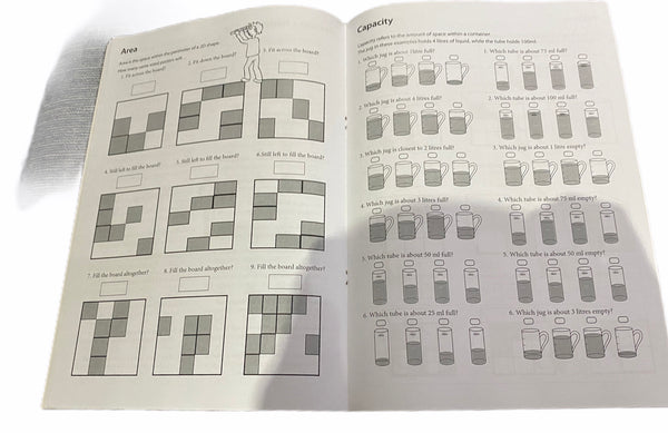 Basic Skills Checkup Standardised Test Style Year 3