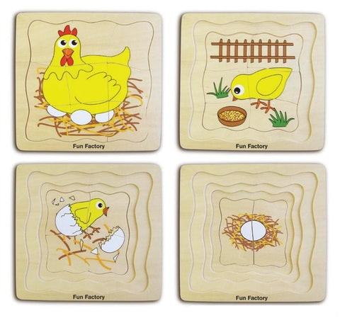 Lifecycle of a chicken puzzle with layers